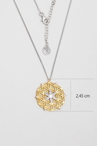 So Chic Yaşam Çiçeği 18 Ayar Sarı Ve Beyaz Altın Kaplama 44 Cm Gümüş Kolye Çok Renkli
