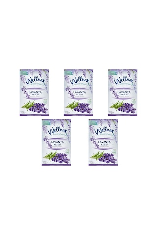 Wellnax Dolap ve Çekmece Kokusu Lavanta Kesesi 5 x 21 G