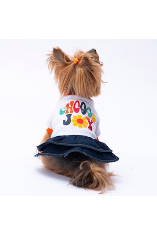 Pawstar Gri Santa Rosa Kedi Köpek Elbisesi