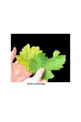 Demir Gübresi Fenomen (1 KG)(%26 Demir Içerikli)