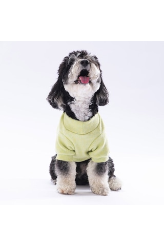 Pawstar Yellow Merino Sweat Medium 26x28x41 Cm