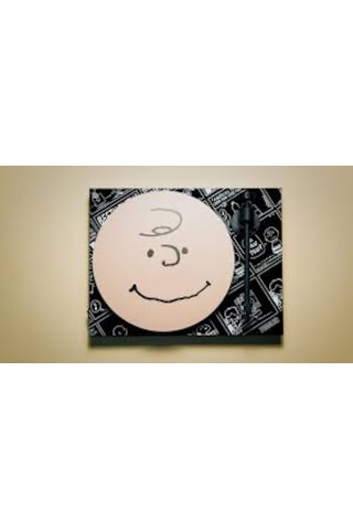 Pro-ject Audio Art Peanuts Om10 Siyah