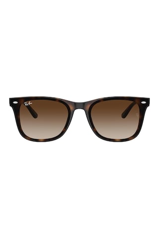 Ray-ban 0rb4420 710/13 65 Unisex Güneş Gözlüğü