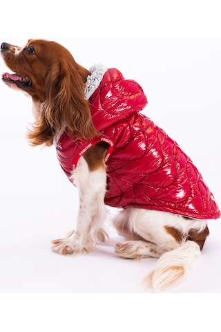 Pawstar Kırmızı Light Wave Anorak Yelek Köpek Yeleği