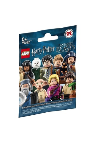 LEGO Harry Potter 71022 Fantastik Canavarlar Mini Figür 1 Parça