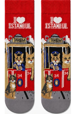 Carnaval Socks I Love İstanbul 5'li Kutulu Çorap Seti Tramvay Ve Galata 2000386
