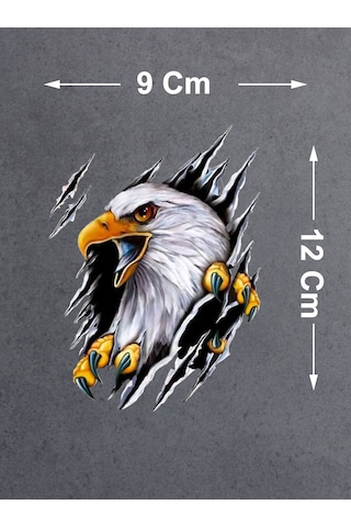 Kartal Vahşi Pençe Beşiktaş Karakartal Sticker - Araba Oto Motosiklet Sticker - 00045 12x9 Cm
