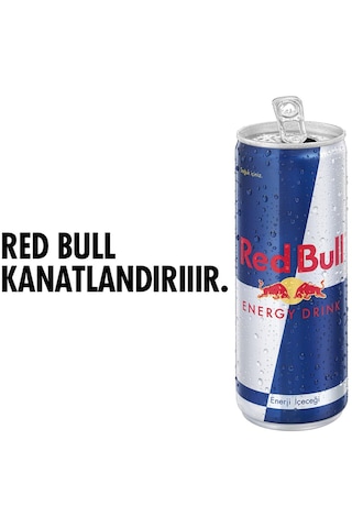 Red Bull Enerji İçeceği 250 Ml X 24 Adet