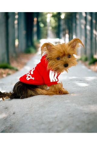 Kemique Red Adidog Kapşonlu Sweatshirt Köpek Kazağı