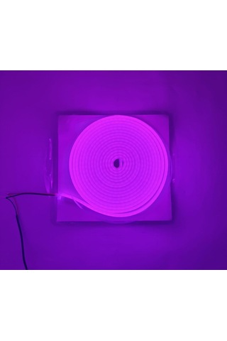 Neon Led Şerit Mor 5 Metre Dc 12v Ip65 Dış Mekân Uyumlu Esnek Aydınlatma