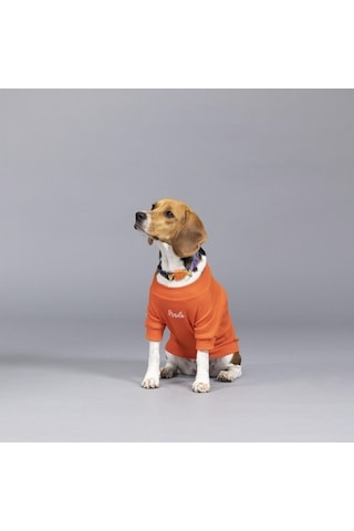 Flex Always Stay Free Küçük Ve Orta Irk Köpek Tshirt
