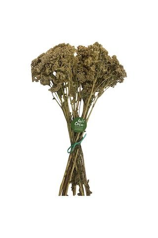 Beyaz Civanperçemi 75 Gr