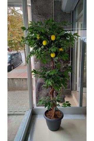 Cihan Çiçekçilik Limon Ağacı 180 Cm Yapay Ağaç Üretim Saksısı Yeşil