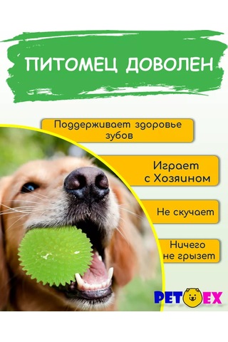 Pet-ex Dikenli Köpek Topu 7 Cm 193092539