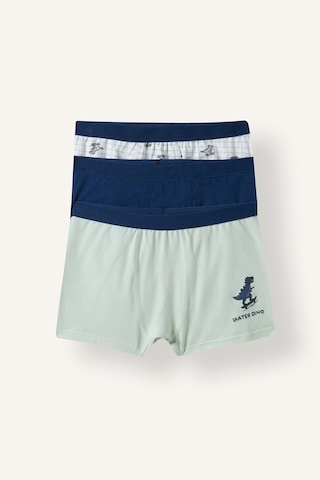 Defacto Dinozor Baskılı Penye 3lü Boxer Erkek Çocuk I4097a826auwt34 Beyaz-wt34