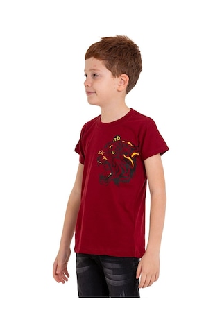Bordo Kaplan Baskılı Bisiklet Yaka 5-16 Yaş Tişört 2008-6 Bordo