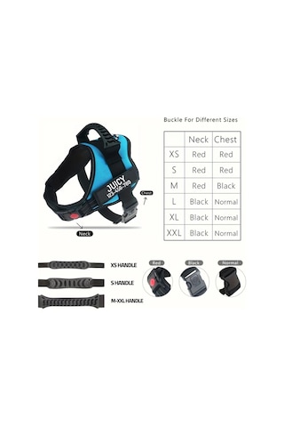 Honeybeeshop Kişiselleştirilebilir Papatya Desenli Polyester Köpek Yeleği Sky Blue Xl Çekmeyi Önleyen Tasma Eğitim Ve Yürüyüş İçin Ad Ve Telefon Özelleştirmeli El Yıkama Altın