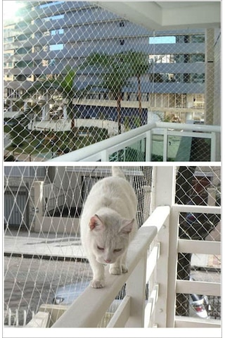 Balkon Filesi 3 X 15 Kuş Filesi, Kedi Filesi, Kuş Ağı, Kuş Önleme Filesi