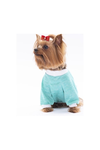 Pawstar Mint Fun Day Kedi Köpek Sweati Kıyafeti