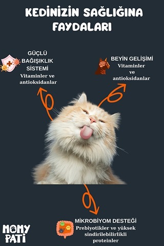 Momy Pati Tavuklu Kedi Maması 15 Kg Yetişkin Kediler Için