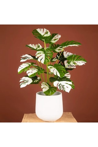 Yapay Çiçek Saksıda Monstera Yeşil Beyaz Deve Tabanı 12Dal 70cm S