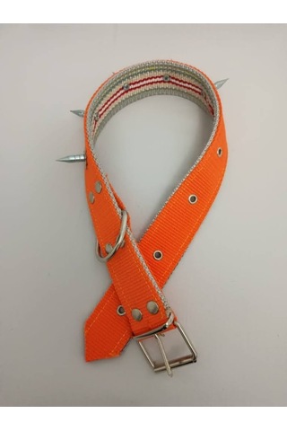 Kozaklı 10458 Çivili Süslü Köpek Tasması Turuncu 70 x 4 CM Turuncu