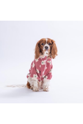 Avenra Bloom Ceket Çiçek Desenli Batik Kedi Köpek Ceketi Kedi Köpek Kıyafeti Kedi Köpek Elbisesi