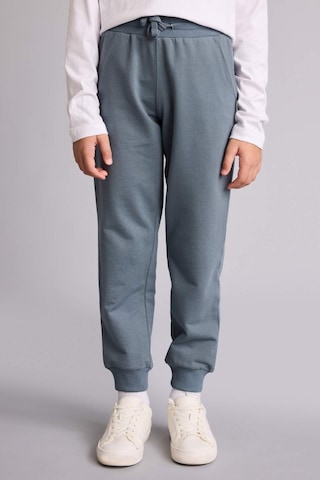 Defacto Regular Fıt Sweatshirt Kumaşı Pantolon Erkek Çocuk G0866a826spgr314 Gri-gr314