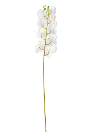 Mudo Home Orkide Dal Çiçek Beyaz 92 Cm