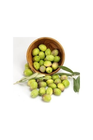 3 Adet Memcik Zeytin Fidanı 1.5 Yaş Tüplüdür