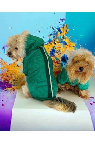 Luxy Green Köpek Montu, Köpek Ceketi, Köpek Dış Giyim