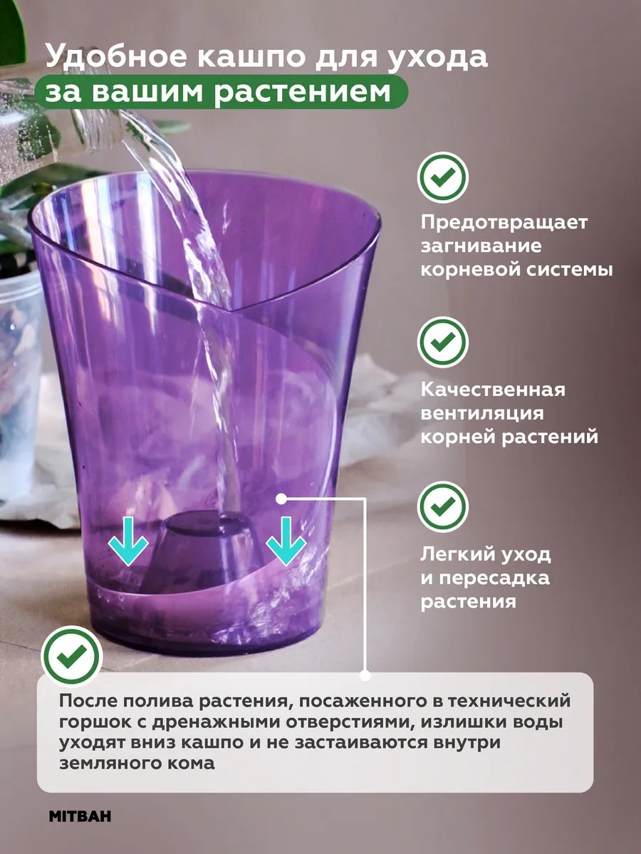 Mıtbah Şeffaf Saksıda Orkide Saksısı 2 Adet 74247174