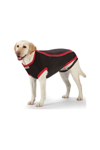 Kong Köpek Anksiyete Giderici Elbise