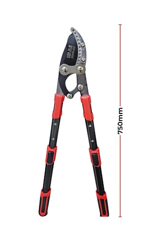 Fixonic B.h.d Bhd00453 5cm Teleskopik Sap Uzatmalı Sap Dal Biçme Makası