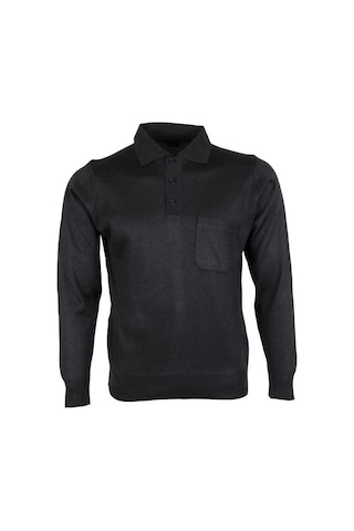 Erkek Füme Kazak Polo Yaka Yünlü Klasik Normal Kesim Rar00646