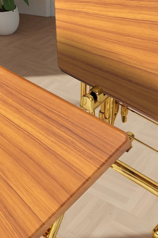 Eranş Serisi 4'lü Katlanır Mdf Mebran Ahşap Çanta Zigon Sehpa Gold Ayak Atlantik Çam Desen Gold Ayak