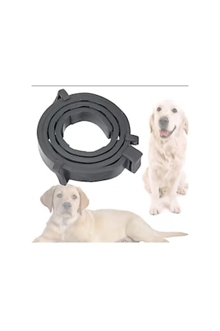 Mucit Home Köpek Pire Ve Bit Kovucu Engelleyeci Tasma Boyunluk 62 Cm Çok Renkli