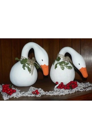 15 Adet Tohum Organik Eğri Kuğu Süs Su Kabak Tohumu Yeşil Su Kabağı Hediye