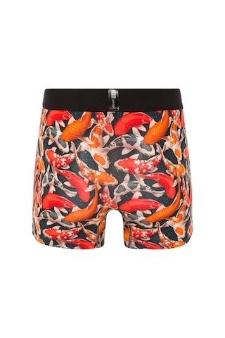 Farm Animals Koi Fishes Desenli Boxer Çok Renkli