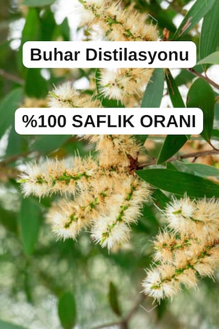 Antik Şifa Seyreltilmemiş Niaouli Uçucu Yağı 10 ML