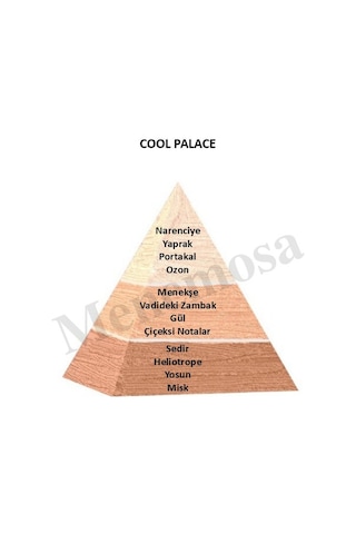 Bahar Çiçeği Dekoratif Oda Parfümü 120ml Cool Place - Bahar Çiçeği Bahar Çiçekleri