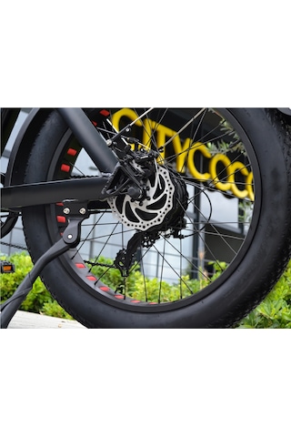 Citycoco Fatbike 250W