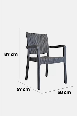 Lüx Rattan Sandalye Çok Renkli