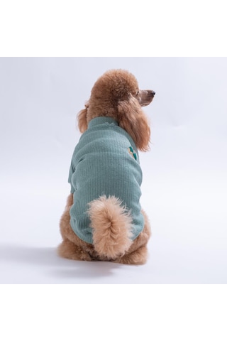 Yeşil Teddywood Ayıcık Nakışlı Esnek Sıcak Tutan Köpek Sweati Köpek Kıyafeti Kedi Kıyafeti