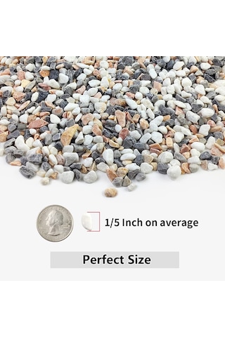 2 Lb Etli Ve Kaktüs Çakıl Taşları, 1/5 İnç Doğal Dekoratif Cilalı Taşlar, Vazolar, Akvaryumlar, Teraryum Ve A Standart
