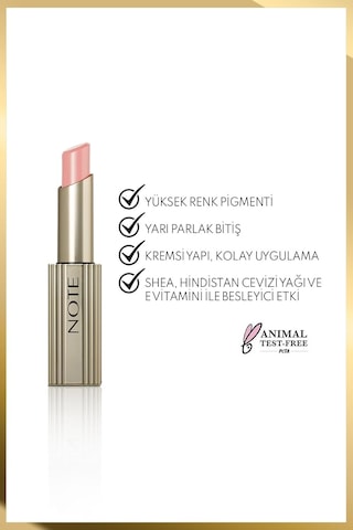 Aura Silk Lipstick 01 Cashmere Cloud Kremsi Yarı Parlak Ruj - Nude Diğer