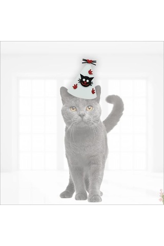 Süsle Bebek Ve Parti Kedi Doğum Günü Şapkası