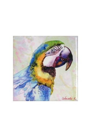 Sublimasyon Seramik Fayans 20x20 Cm
