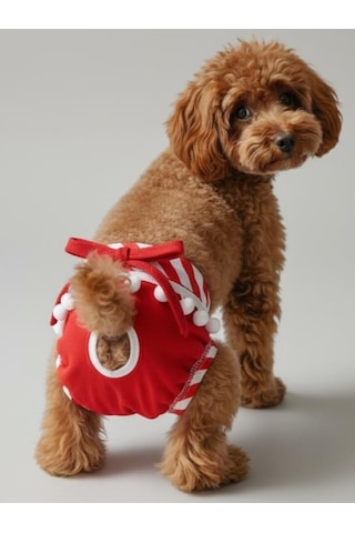 Red Frilly Dişi Köpek Regl Külotu Köpek Donu Köpek İç Çamaşırı Ayarlanabilir Bağcıklı Küçük Irklar İçin