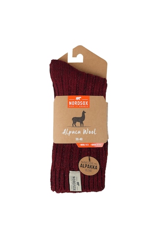 Bolero B67 Kadın Alpaka Yün Soket Çorap 36-40 Bordo
